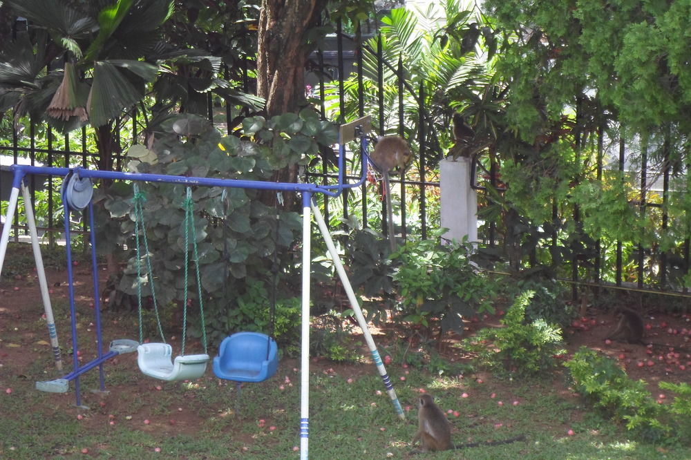 Kandy Green View Bungalow Extérieur photo