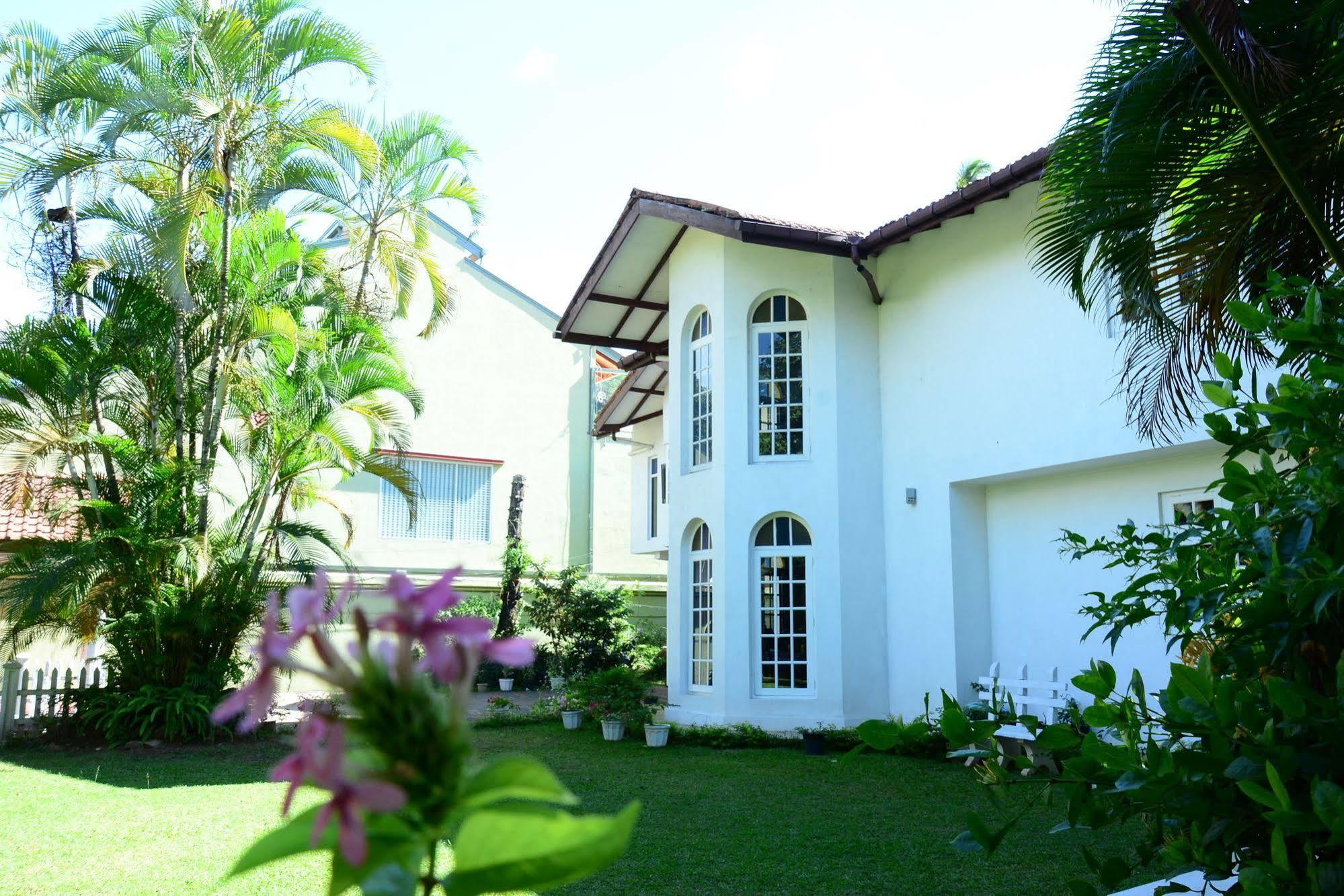Kandy Green View Bungalow Extérieur photo
